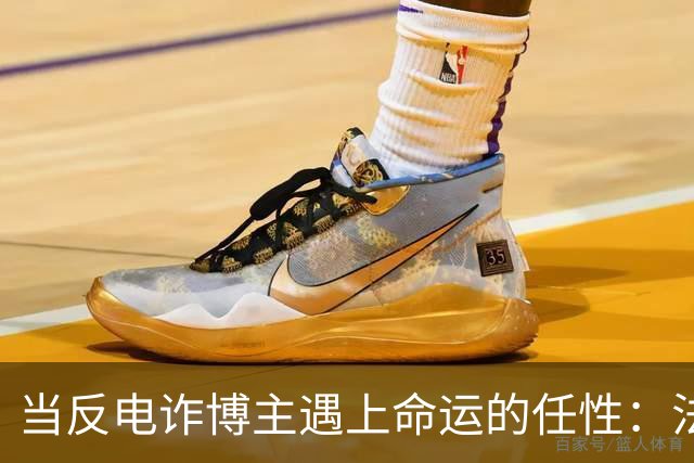 当反电诈博主遇上命运的任性：法律与社会的博弈