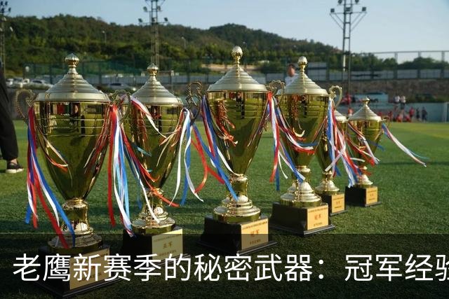 老鹰新赛季的秘密武器：冠军经验加持